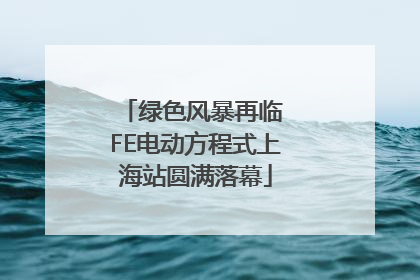 绿色风暴再临 FE电动方程式上海站圆满落幕
