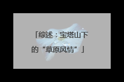 综述：宝塔山下的“草原风情”