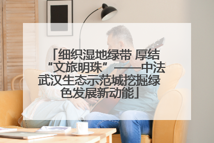 细织湿地绿带 厚结“文旅明珠”——中法武汉生态示范城挖掘绿色发展新动能