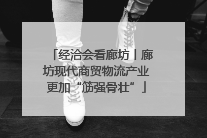 经洽会看廊坊丨廊坊现代商贸物流产业更加“筋强骨壮”