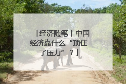 经济随笔丨中国经济靠什么“顶住了压力”？