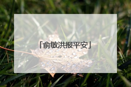 俞敏洪报平安