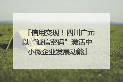 信用变现！四川广元以“诚信密码”激活中小微企业发展动能