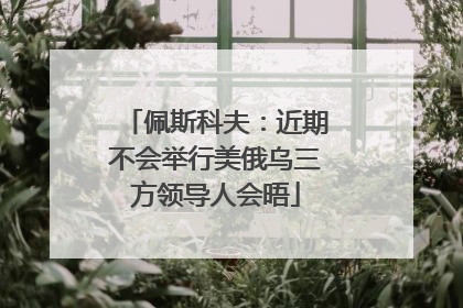 佩斯科夫：近期不会举行美俄乌三方领导人会晤