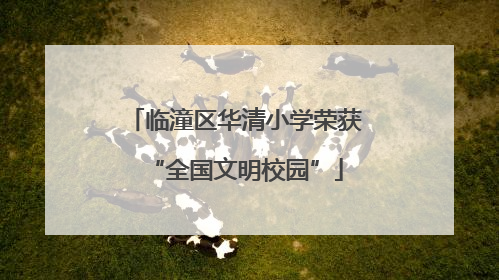 临潼区华清小学荣获“全国文明校园”