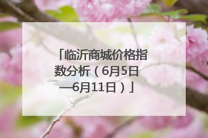 临沂商城价格指数分析（6月5日—6月11日）