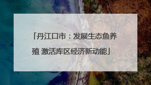 丹江口市：发展生态鱼养殖 激活库区经济新动能