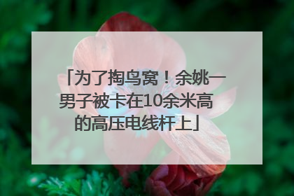 为了掏鸟窝！余姚一男子被卡在10余米高的高压电线杆上