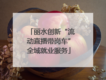 丽水创新“流动直播带岗车”全域就业服务