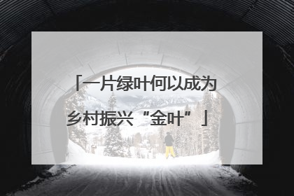一片绿叶何以成为乡村振兴“金叶”