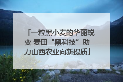 一粒黑小麦的华丽蜕变 麦田“黑科技”助力山西农业向新提质