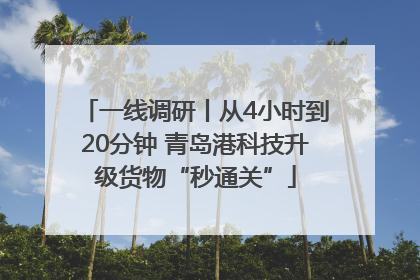 一线调研丨从4小时到20分钟 青岛港科技升级货物“秒通关”