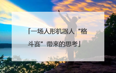 一场人形机器人“格斗赛”带来的思考