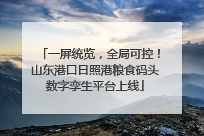 一屏统览，全局可控！山东港口日照港粮食码头数字孪生平台上线