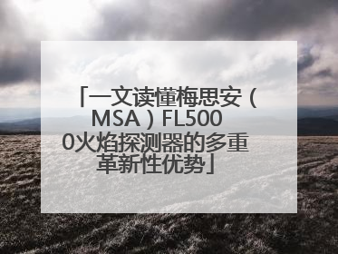 一文读懂梅思安（MSA）FL5000火焰探测器的多重革新性优势
