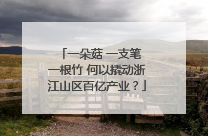 一朵菇 一支笔 一根竹 何以撬动浙江山区百亿产业？