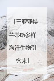 三亚亚特兰蒂斯多样海洋生物引客来