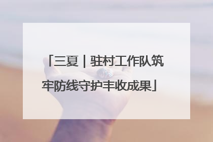三夏｜驻村工作队筑牢防线守护丰收成果