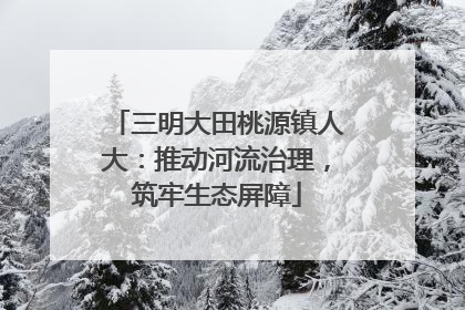 三明大田桃源镇人大：推动河流治理，筑牢生态屏障