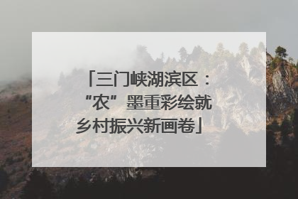 三门峡湖滨区：“农”墨重彩绘就乡村振兴新画卷