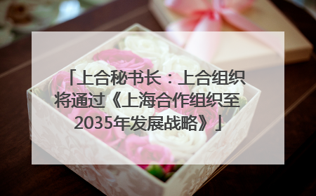 上合秘书长：上合组织将通过《上海合作组织至2035年发展战略》