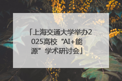 上海交通大学举办2025高校“AI+能源”学术研讨会
