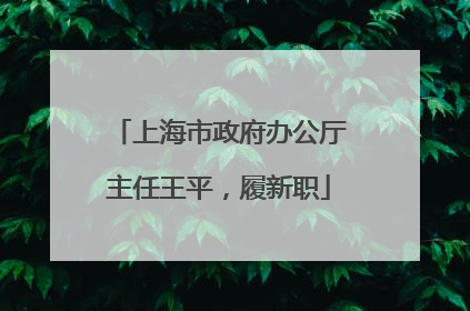 上海市政府办公厅主任王平，履新职