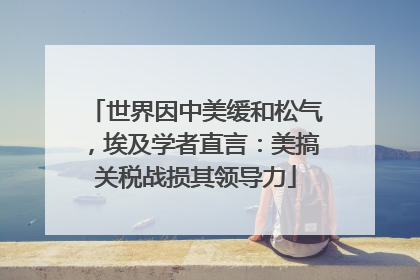 世界因中美缓和松气，埃及学者直言：美搞关税战损其领导力