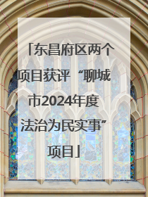 东昌府区两个项目获评“聊城市2024年度法治为民实事”项目