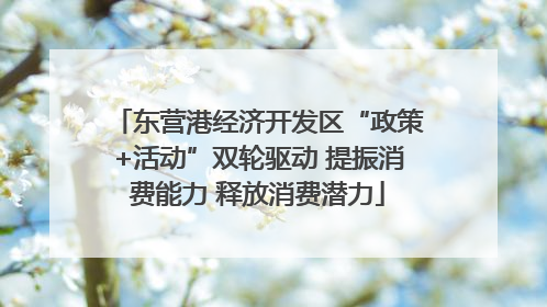 东营港经济开发区“政策+活动”双轮驱动 提振消费能力 释放消费潜力