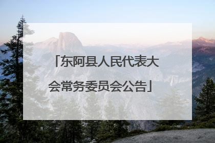 东阿县人民代表大会常务委员会公告