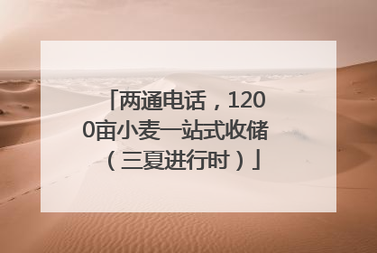 两通电话，1200亩小麦一站式收储（三夏进行时）