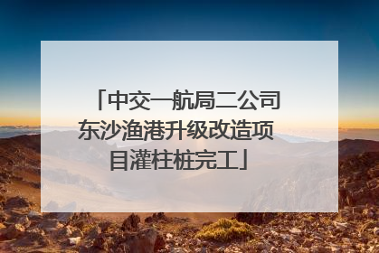 中交一航局二公司东沙渔港升级改造项目灌柱桩完工