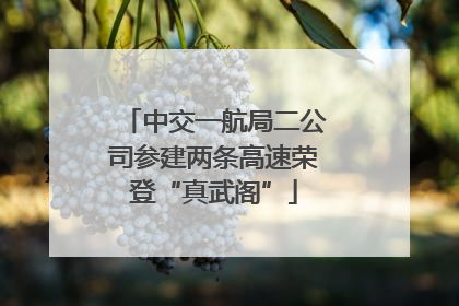 中交一航局二公司参建两条高速荣登“真武阁”