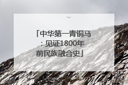 中华第一青铜马：见证1800年前民族融合史