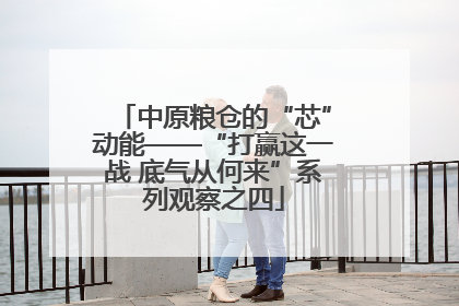 中原粮仓的“芯”动能——“打赢这一战 底气从何来”系列观察之四