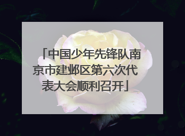 中国少年先锋队南京市建邺区第六次代表大会顺利召开