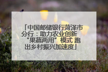中国邮储银行菏泽市分行：助力农业创新 “果蔬两用”模式 跑出乡村振兴加速度