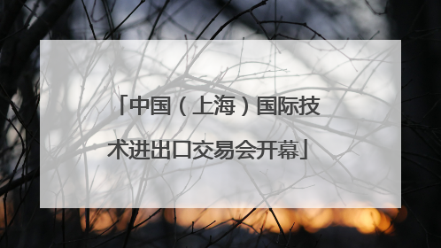 中国（上海）国际技术进出口交易会开幕