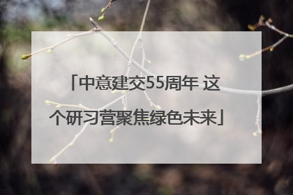 中意建交55周年 这个研习营聚焦绿色未来