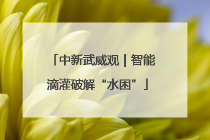 中新武威观｜智能滴灌破解“水困”