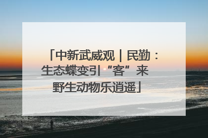 中新武威观｜民勤：生态蝶变引“客”来 野生动物乐逍遥