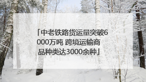 中老铁路货运量突破6000万吨 跨境运输商品种类达3000余种