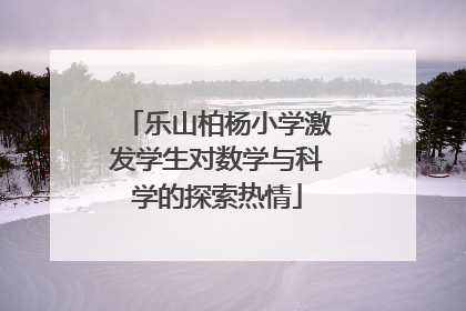 乐山柏杨小学激发学生对数学与科学的探索热情