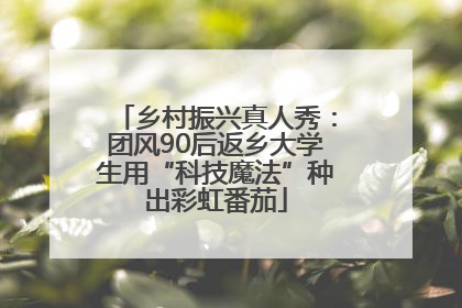 乡村振兴真人秀：团风90后返乡大学生用“科技魔法”种出彩虹番茄