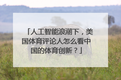 人工智能浪潮下，美国体育评论人怎么看中国的体育创新？