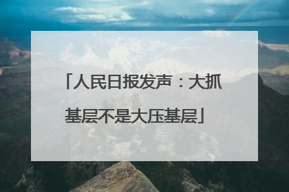 人民日报发声：大抓基层不是大压基层