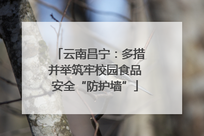 云南昌宁：多措并举筑牢校园食品安全“防护墙”