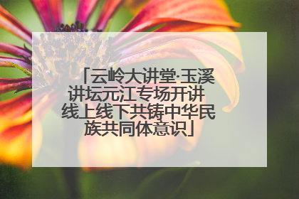 云岭大讲堂·玉溪讲坛元江专场开讲 线上线下共铸中华民族共同体意识