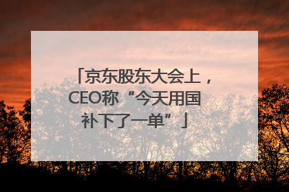 京东股东大会上，CEO称“今天用国补下了一单”